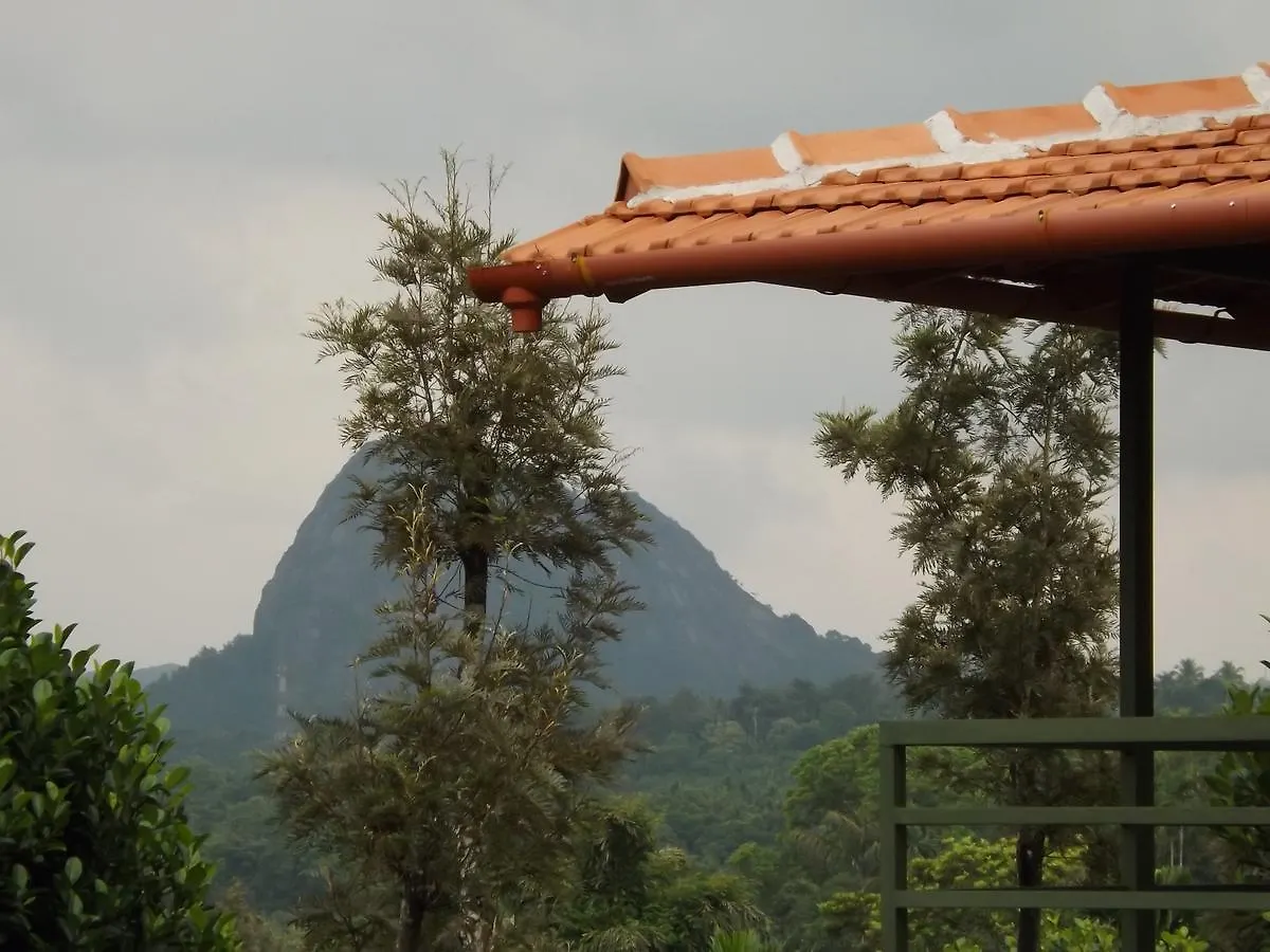 The Suvistara Wayanad Bed & Breakfast Meenangadi