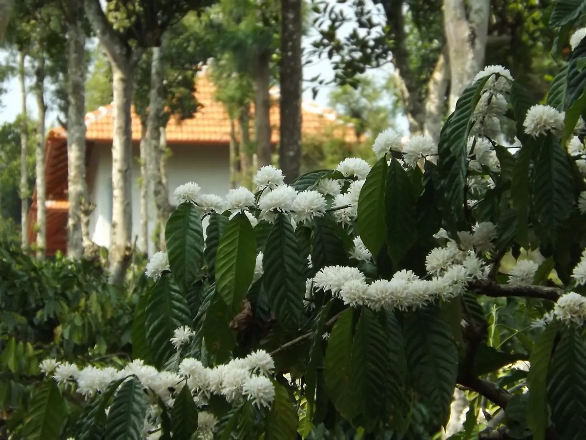 The Suvistara Wayanad Bed & Breakfast Meenangadi 2*,